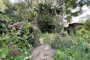 Photo 4- click for photo gallery